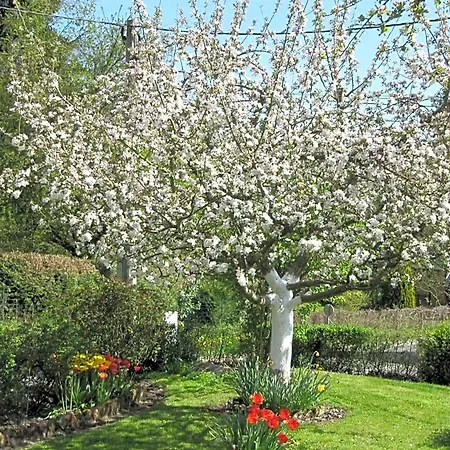 Frühstückspension La Roseraie Du Prieure Rosay-sur-Lieure