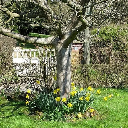 La Roseraie Du Prieure Rosay-sur-Lieure