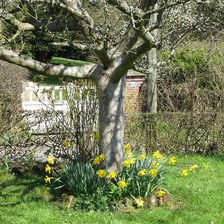 La Roseraie Du Prieure Rosay-sur-Lieure