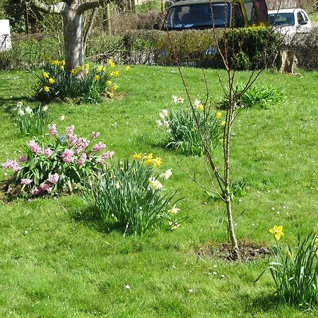 Bed & Breakfast La Roseraie Du Prieure Rosay-sur-Lieure